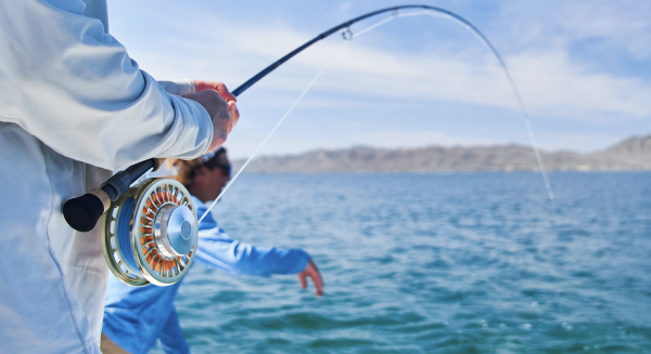 Sage THERMO Fly Fishing Reel Action 2